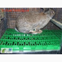 Продам пластиковые полы для кроликов