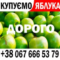 Куплю яблоко на сік Ціна 13, 80 грн Доставка постачальника на м. БАР