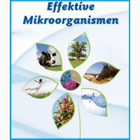 Комплексный микробиологический препарат для животных и птиц