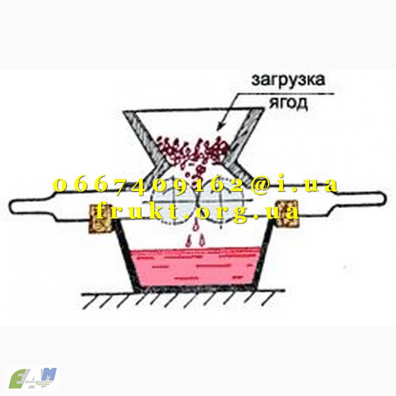 Мялка для винограда своими руками чертежи и фото пошаговая инструкция