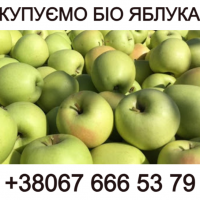 Закуповуємо БІО яблоко на сік, на переробку Форма оплати будь-яка