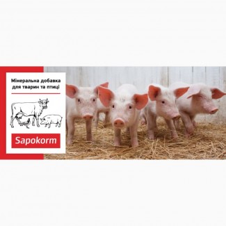 Добавка мінеральна кормова свиням Сапокорм