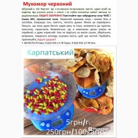 Капатський Мухомор