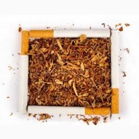 Продаю качественный табак на развес разной крепости-Берли Вирджиния Махорка