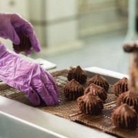 Работа в Словакии на шоколадной фабрике. Для женщин и мужчин