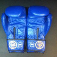 Перчатки боксерские синие лицензированные Федерацией бокса