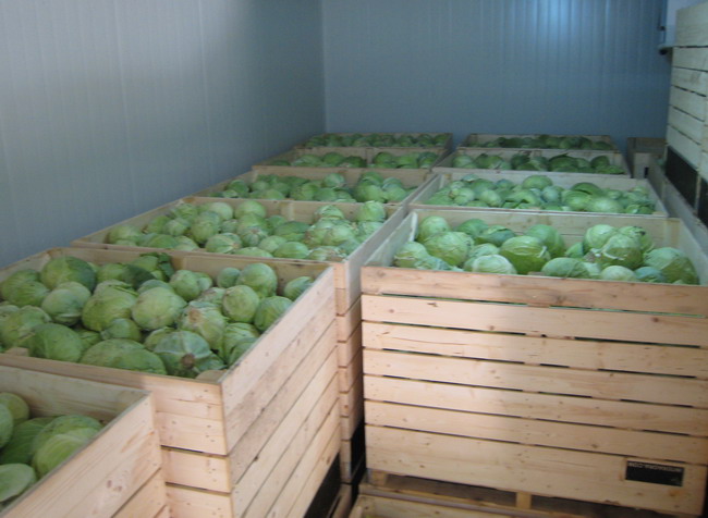 Холодильное оборудование для фруктов и овощей Алькантар ООО 