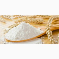 Харковская обл. компания производитель продает оптом пшеничную муку в/с, 1/с, 2/с от 5 т