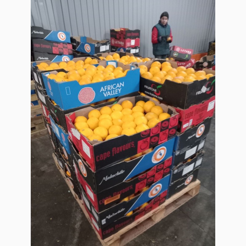 Фото 5. Гурт продаж фрукти овочі ціни опт фрукты овощи апельсин лимон мандарин, Вишневе