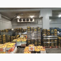 Гурт продаж фрукти овочі ціни опт фрукты овощи апельсин лимон мандарин, Вишневе