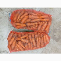 Продам моркову Сорт Абако. Київська обл