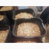 Продаем грецкий орех (очищенный и неочищенный) / Walnut sale