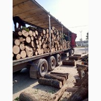 Продам дрова дубовые