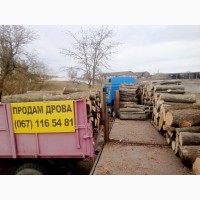 Доставка дров от двух складометров до сорока Одесса