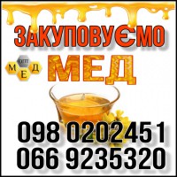 Куплю мед у населения в центральной Украине