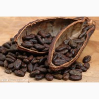 Порошок какао-велла високого качества