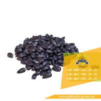 Семена подсолнечника / Рекольд - насіння соняшника