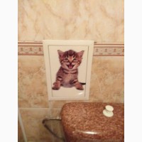 Наклейка котик номер 5 для ванны, детской комнаты