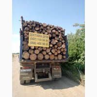 Продажа дров с доставкой недорого Одесса