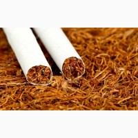 Табак лапшой 0.5-0.8мм, для забивки сигаретных гильз - самокруток - трубок.Гильзи Машинки