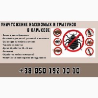 Уничтожение грызунов и насекомых в Харькове