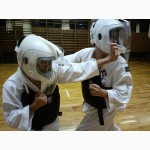 Тренировка. Школа боевых искусств - сёриндзи Кэмпо