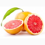 Настоящий Польский “Цитросепт”, экстракт грейпфрута