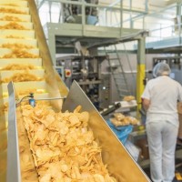 Работа на производстве картофельных чипсов в Чехии