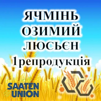 Насіння ячменю озимого ЛЮСЬЄН 1 репродукція SAATEN UNION