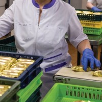 Работа для женщин на шоколадной фабрике в Литве