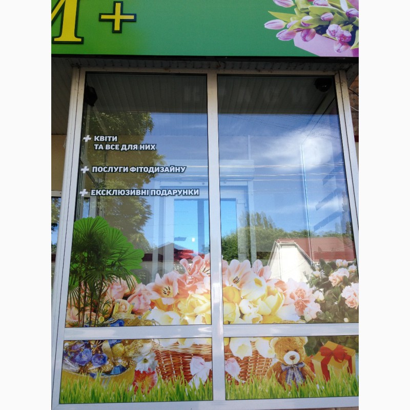 Фото 6. Комплексное оформление витрин магазина, реклама внутри магазинов