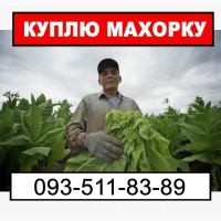 Терміново купую махорку – висока ціна, швидка угода