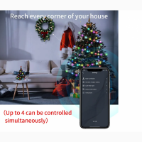 Розумна Гірлянда Bluetooth +пульт, різнокольорова 10 м. 100 світлодіодів