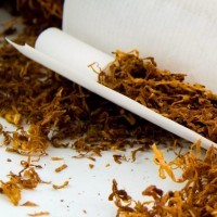 Продам качественный табак весовой, сигаретная нарезка 0, 8мм. Отправка в регионы почтой