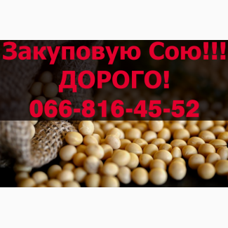 Придбаю СОЮ, на постійній основі у необмежених обсягах