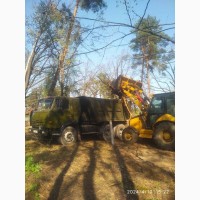 Видалення та спил дерев в Києві і Київській області