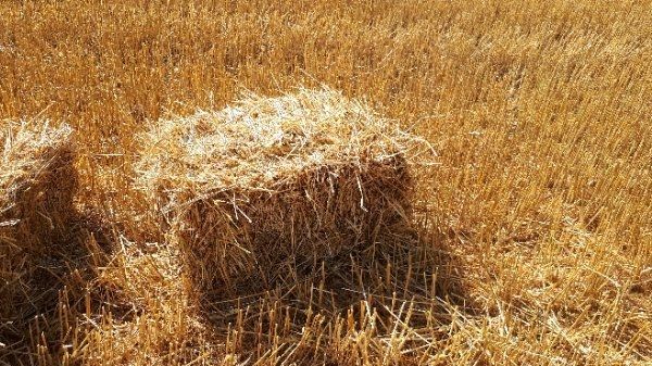 Фото 2. Доставка пшеничной Соломы в тюках по Запорожью