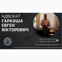 Адвокат в Киеве. Профессиональные юридические консультации