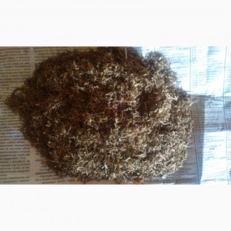 Фото 3. Продам табак ферментированный Берли (крепкий) без мусора и пыли-низкая цена звоните