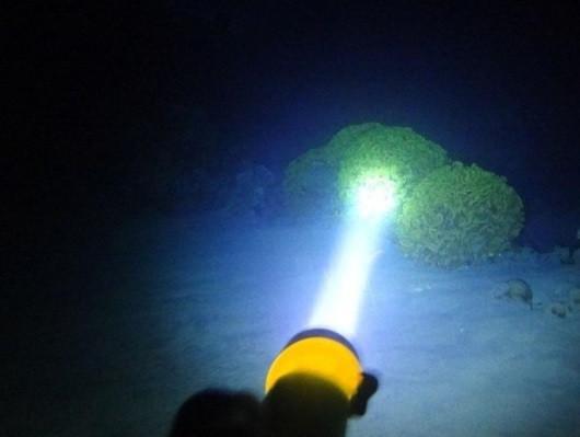 Фото 2. Подводный фонарь для дайвинга BL PF02
