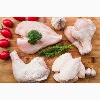 WIDELAND EXPORT продает замороженную курятину HALAL на экспорт (HALAL chicken)