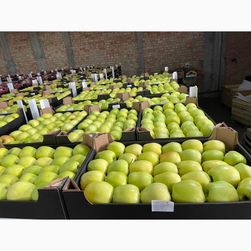 Фото 9. Продам яблоки несколько сортов с хранилищя. От производителя