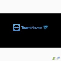 TeamViewer 12 Corporate в аренду