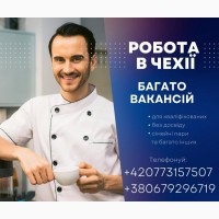 Робота в Чехії: щоденно нові вакансії для українців