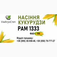 ТОВ ХімАгроСтеп пропонує насіння кукурудзи РАМ 1333 (ФАО 180_