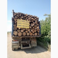Заказать дрова по Одессе и области