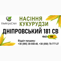 ТОВ ХімАгроСтеп пропонує насіння кукурудзи Дніпровський 181 СВ (ФАО 180)