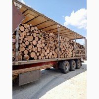 Колотые дрова с доставкой по Одессе и области