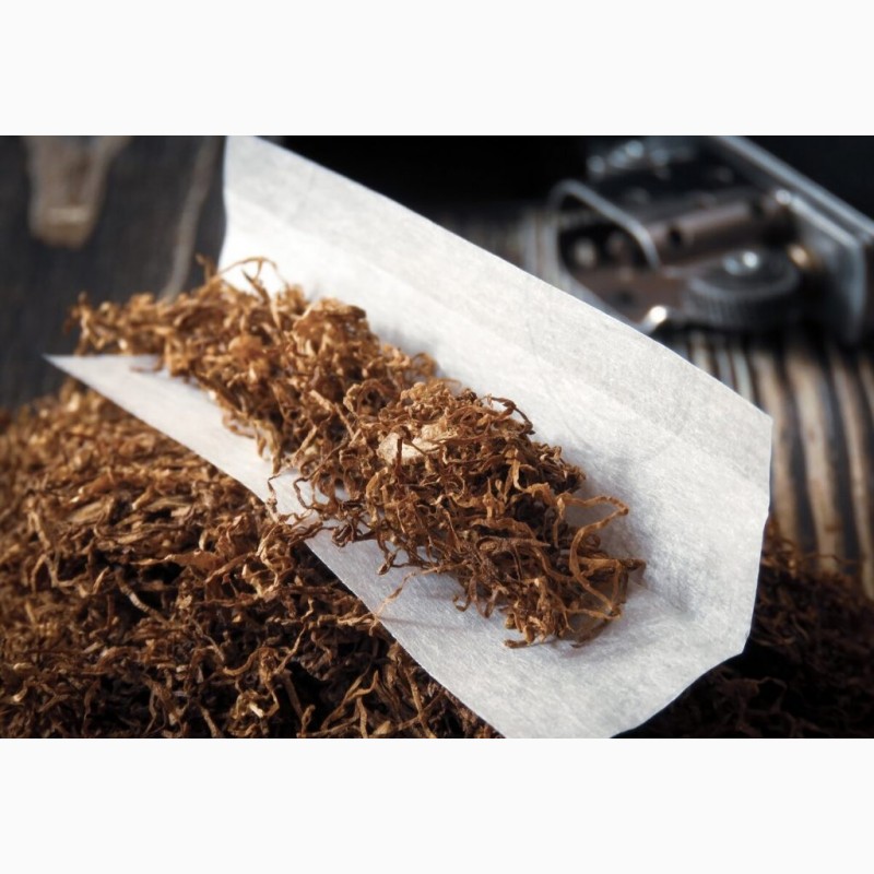 Фото 7. Табак який не смердить коли куриш, Герцоговина Флор, Вірджинія, Самосад