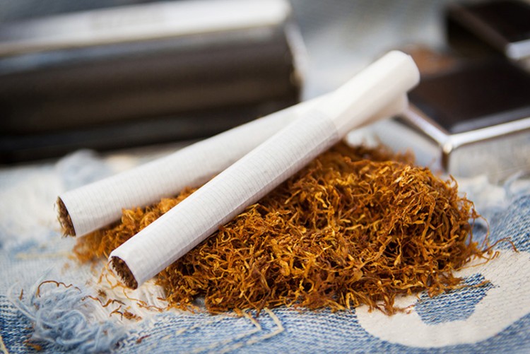 Фото 9. Табак який не смердить коли куриш, Герцоговина Флор, Вірджинія, Самосад